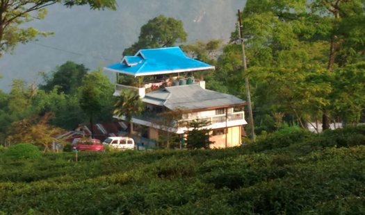 Homestay At Singell Tea Estate